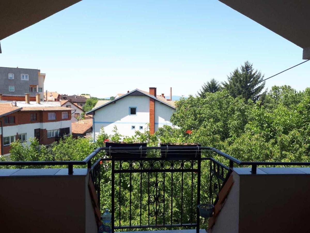 Smestaj Milenkovic Soko Banja Exterior photo