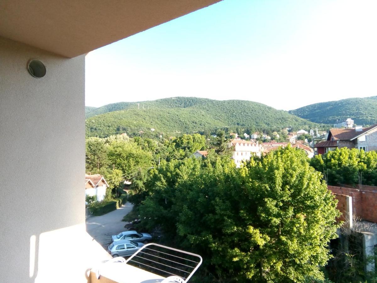 Smestaj Milenkovic Soko Banja Exterior photo